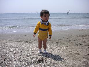 d0006126_0123511.jpg