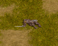 e0004726_10283698.gif