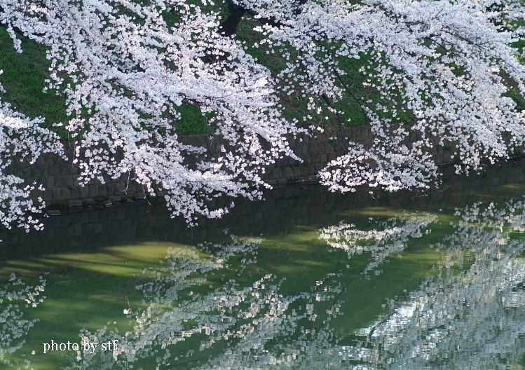 f0030527_2341627.jpg