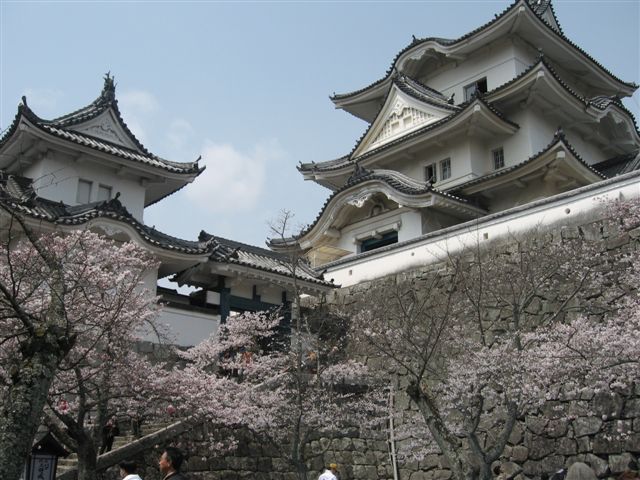 f0002532_14122689.jpg