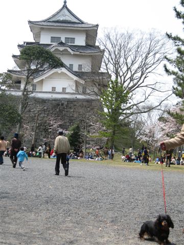f0002532_14193071.jpg