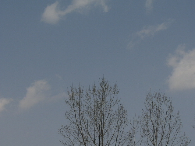 c0073633_18144269.jpg