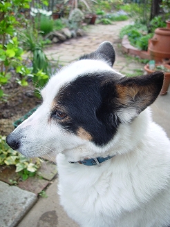 f0060535_0695.jpg