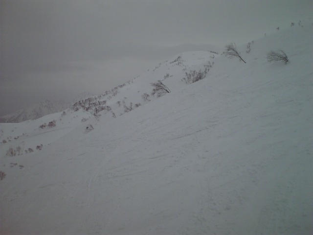 c0054838_22154790.jpg
