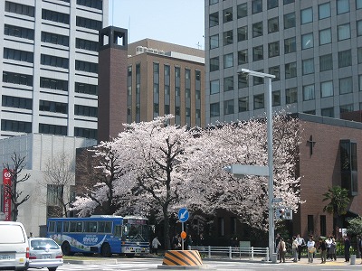 e0051142_1241977.jpg