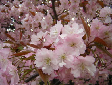 c0023545_034121.jpg