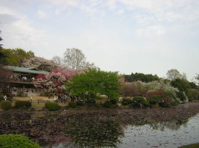 c0023545_0344791.jpg