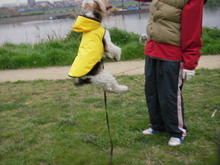 f0081049_231050.jpg