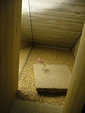 f0056250_2332685.jpg
