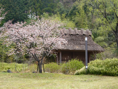f0067354_20541556.jpg