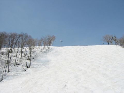 a0022655_735667.jpg