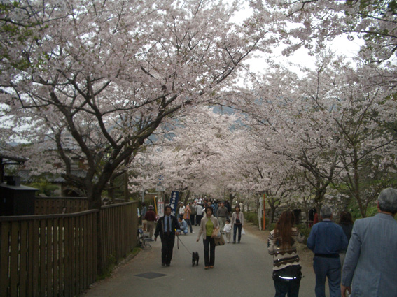 b0002156_7254469.jpg