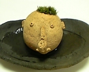 f0045956_0501328.jpg