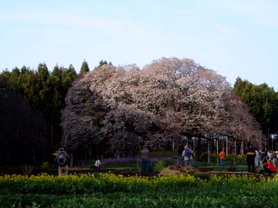 b0045357_8462068.jpg