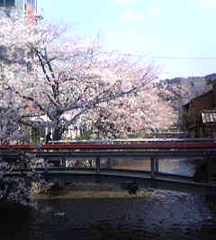c0001060_23324198.jpg