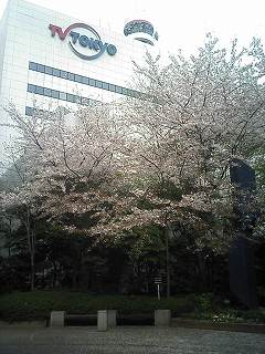 e0078069_2150867.jpg
