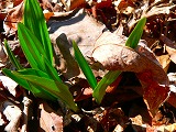 d0008073_20115687.jpg