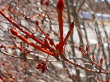 d0008073_20123048.jpg
