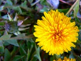 d0008073_209944.jpg