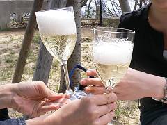 f0001378_2114398.jpg