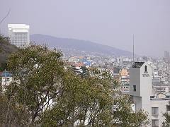 f0001378_21251545.jpg