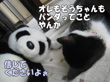 b0041182_23463571.jpg