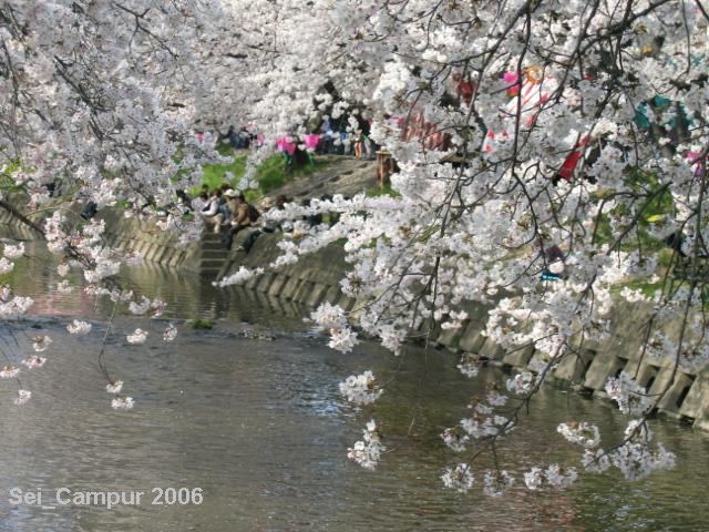 e0073791_21244747.jpg