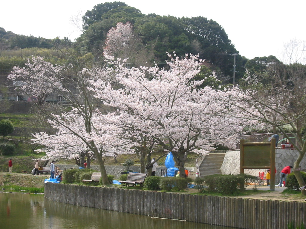 f0013998_450225.jpg