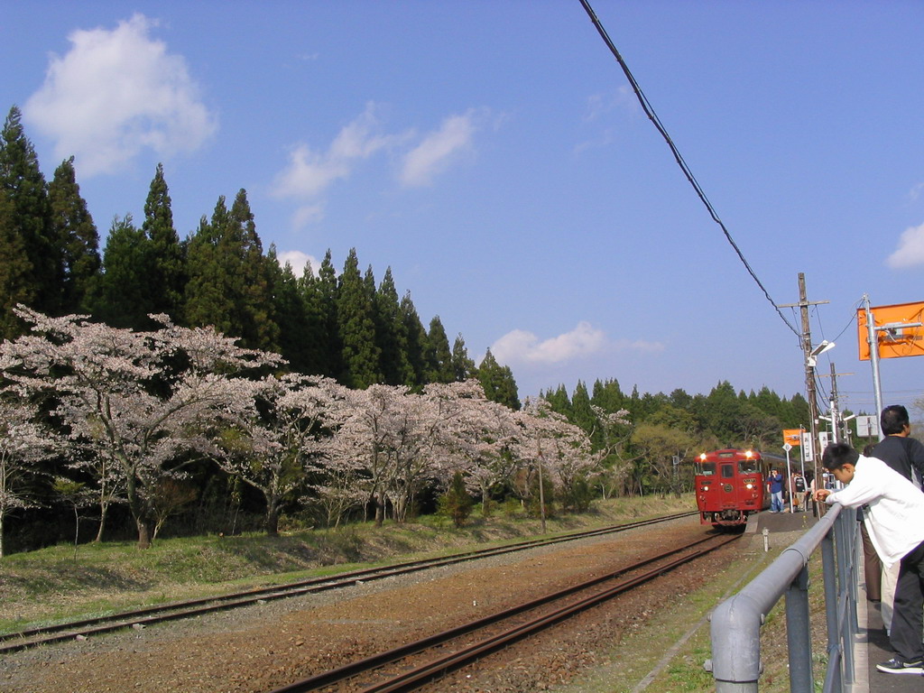e0041400_21554988.jpg