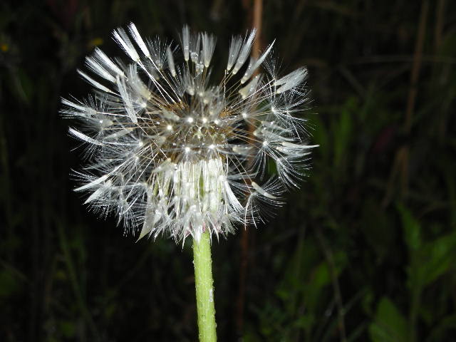 f0083400_14505621.jpg