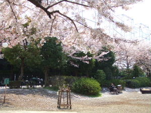 e0040602_2228648.jpg