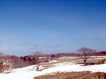f0020302_11525941.jpg