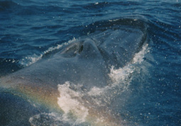 f0048405_1230172.jpg