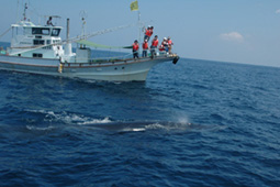 f0048405_12312329.jpg