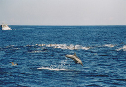 f0048405_1232557.jpg