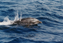 f0048405_1234091.jpg