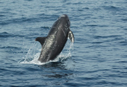 f0048405_12343086.jpg