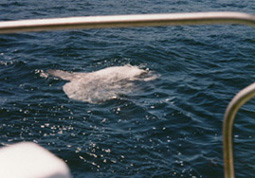 f0048405_12361318.jpg