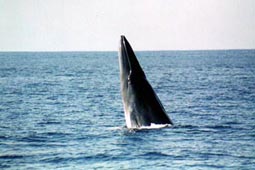 f0048405_12381175.jpg