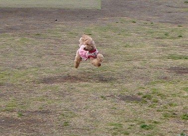 c0041207_1143963.jpg