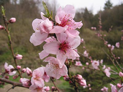 a0041508_2171045.jpg