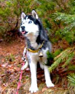 e0001110_2328277.jpg