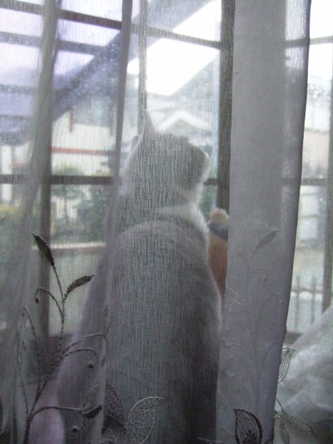 f0032020_1710286.jpg
