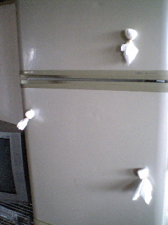 c0007822_9514152.jpg