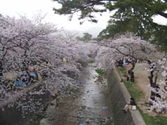 b0054727_228665.jpg