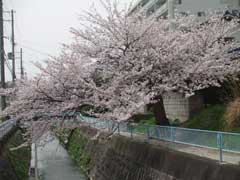 b0054727_229416.jpg