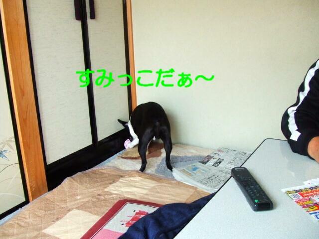 f0059334_131754.jpg