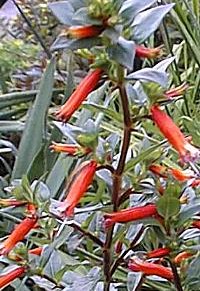 f0032635_132469.jpg