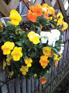 f0052337_184356.jpg