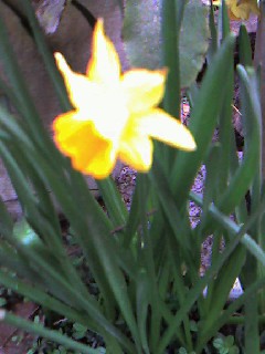 f0052337_1843715.jpg